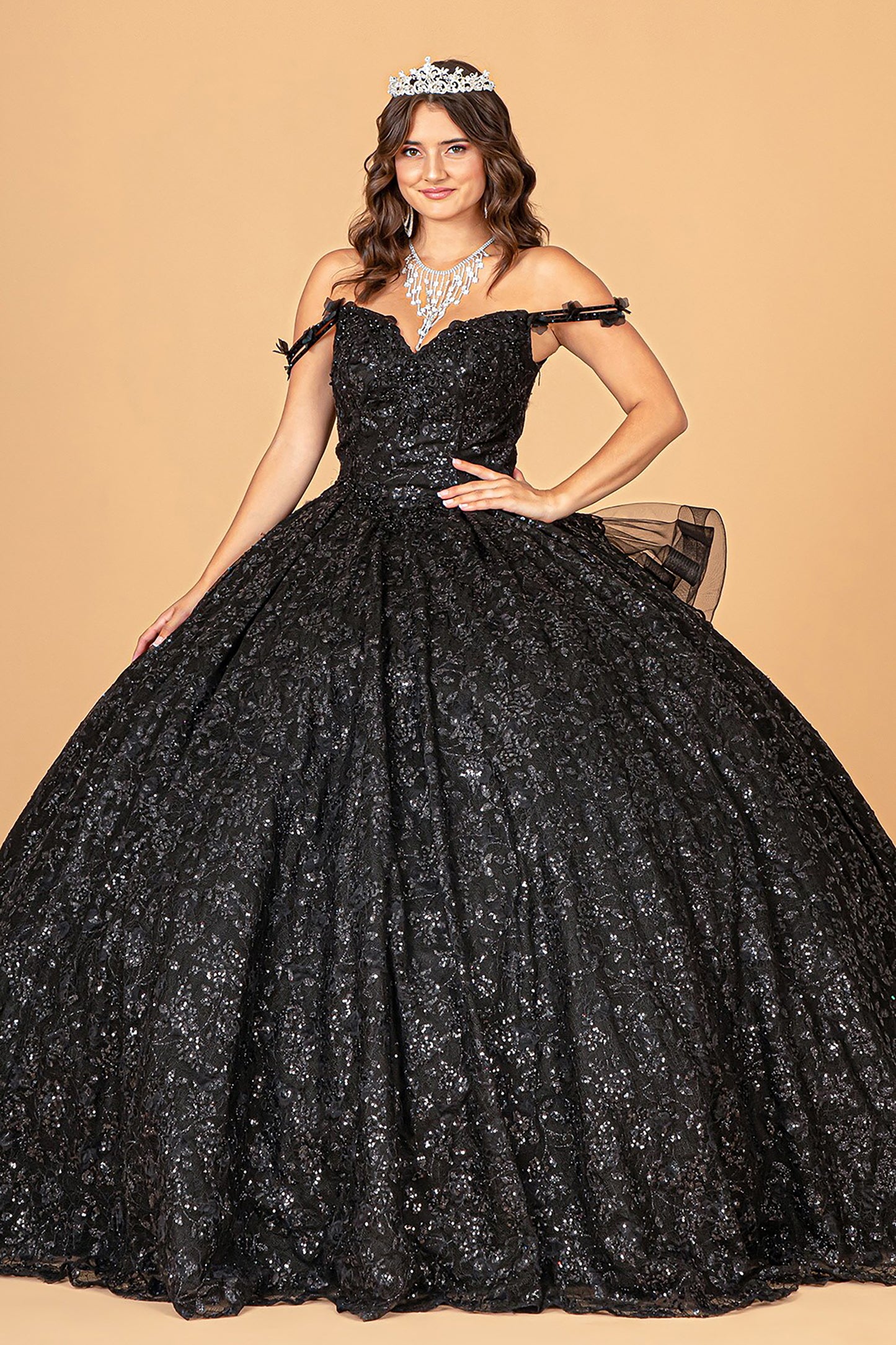 Black Mesh Quince Dress with Detachable Long Sleeves, Detachable Ribbon/Ruffled Train Quince Dress Ballgown front view