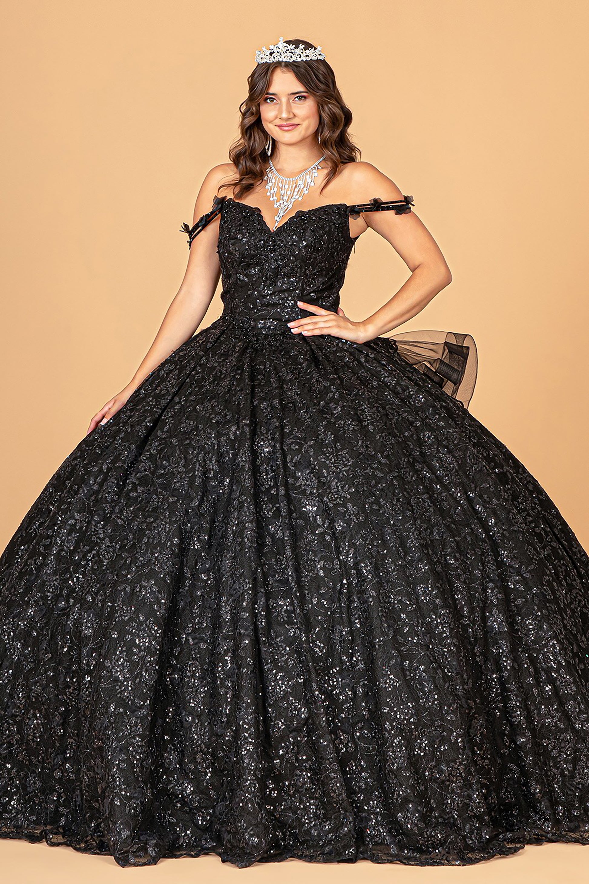 Black Mesh Quince Dress with Detachable Long Sleeves, Detachable Ribbon/Ruffled Train Quince Dress Ballgown front view