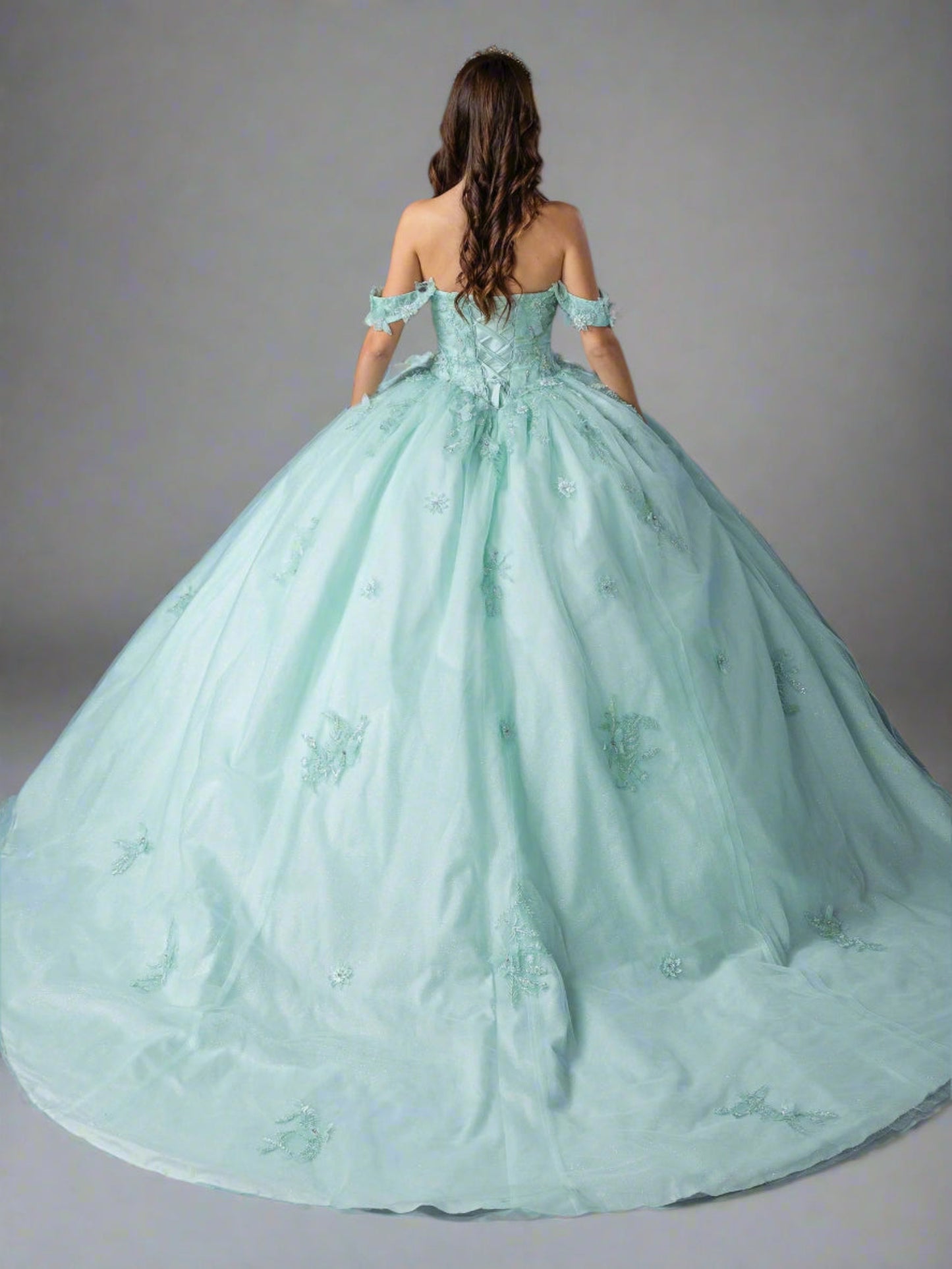 Quinceañera | Light Mint Sweetheart Ball Gown with Floral Appliqués | Anissa dress back view