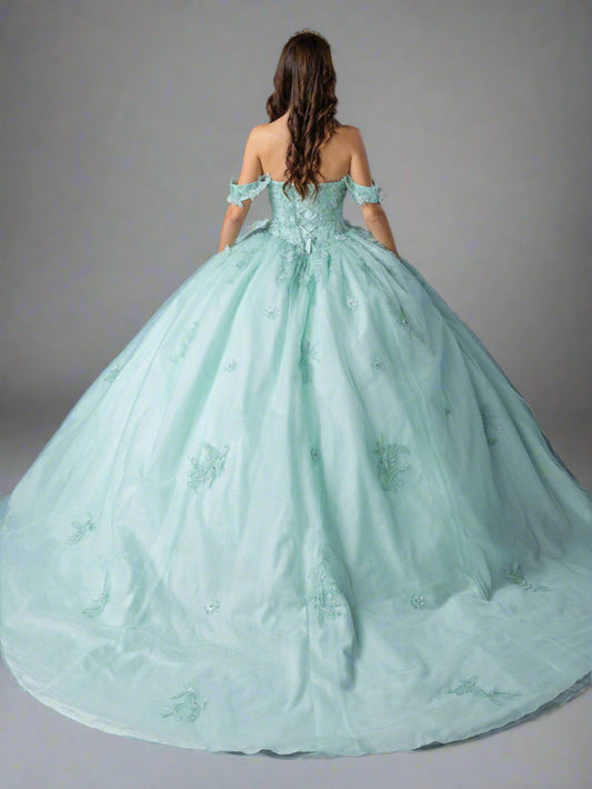 Quinceañera | Light Mint Sweetheart Ball Gown with Floral Appliqués | Anissa dress back view