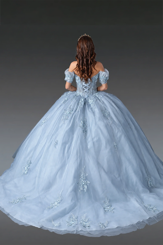 Gray floral applique quinceanera dress with lace-up back and long train, full back view