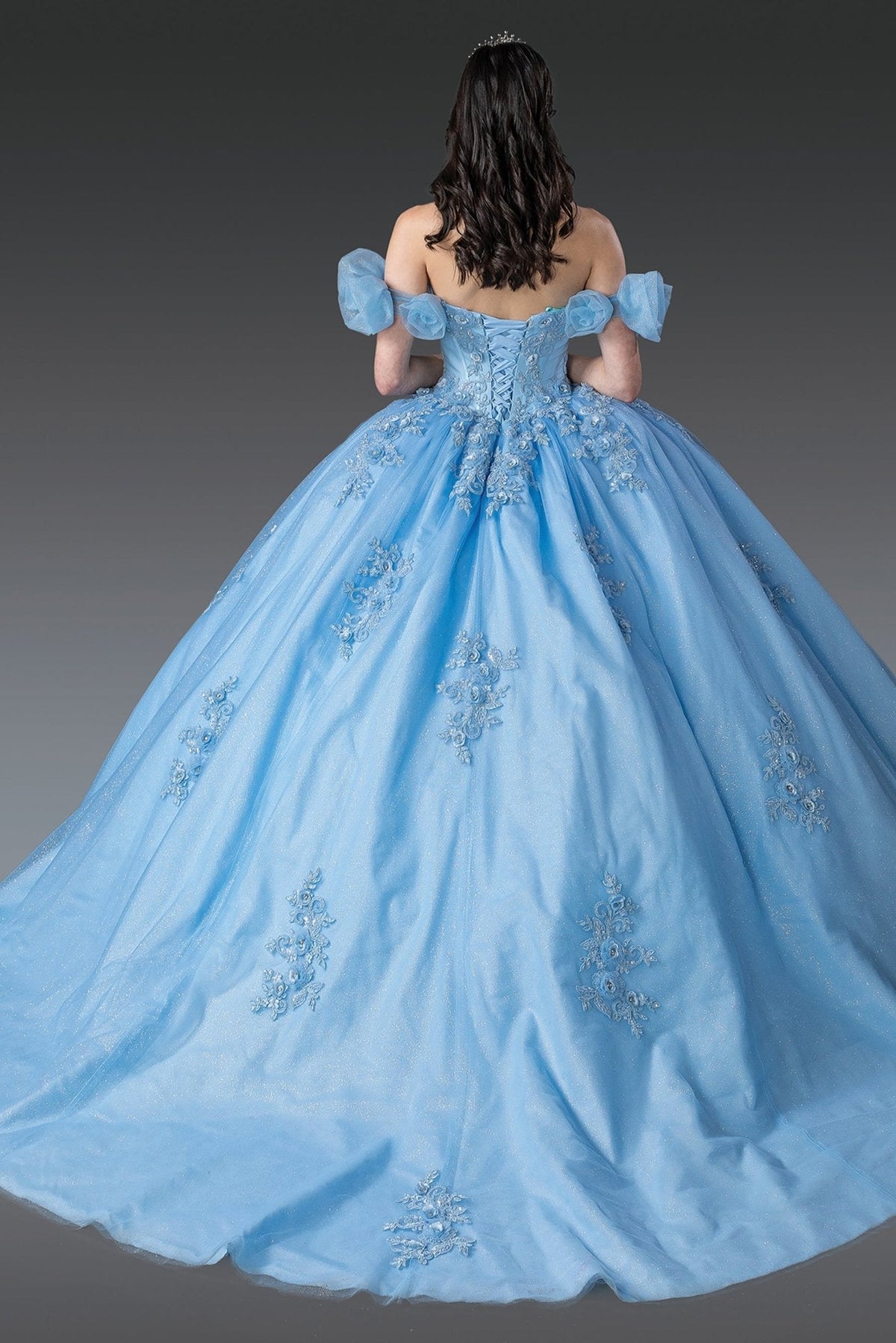 Back view of a woman wearing blue quinceañera dress with lace-up corset, floral embroidery and puff sleeves