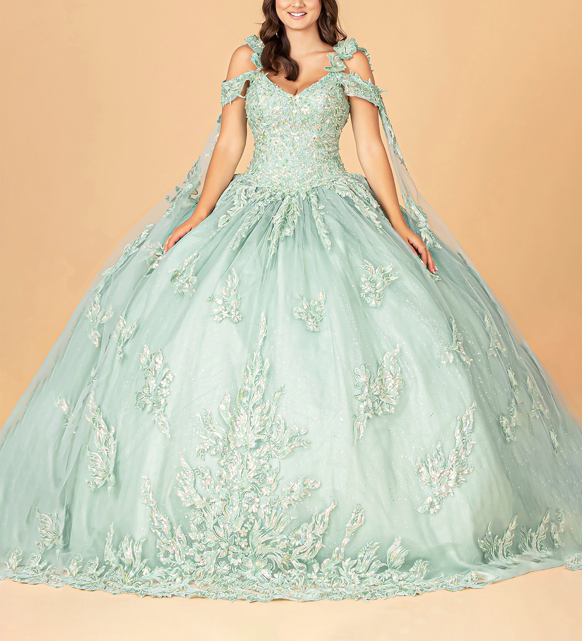 Sage 3D Flower Appliqué Mesh Sweet 15 Ball Gown with Side Mesh Drape front