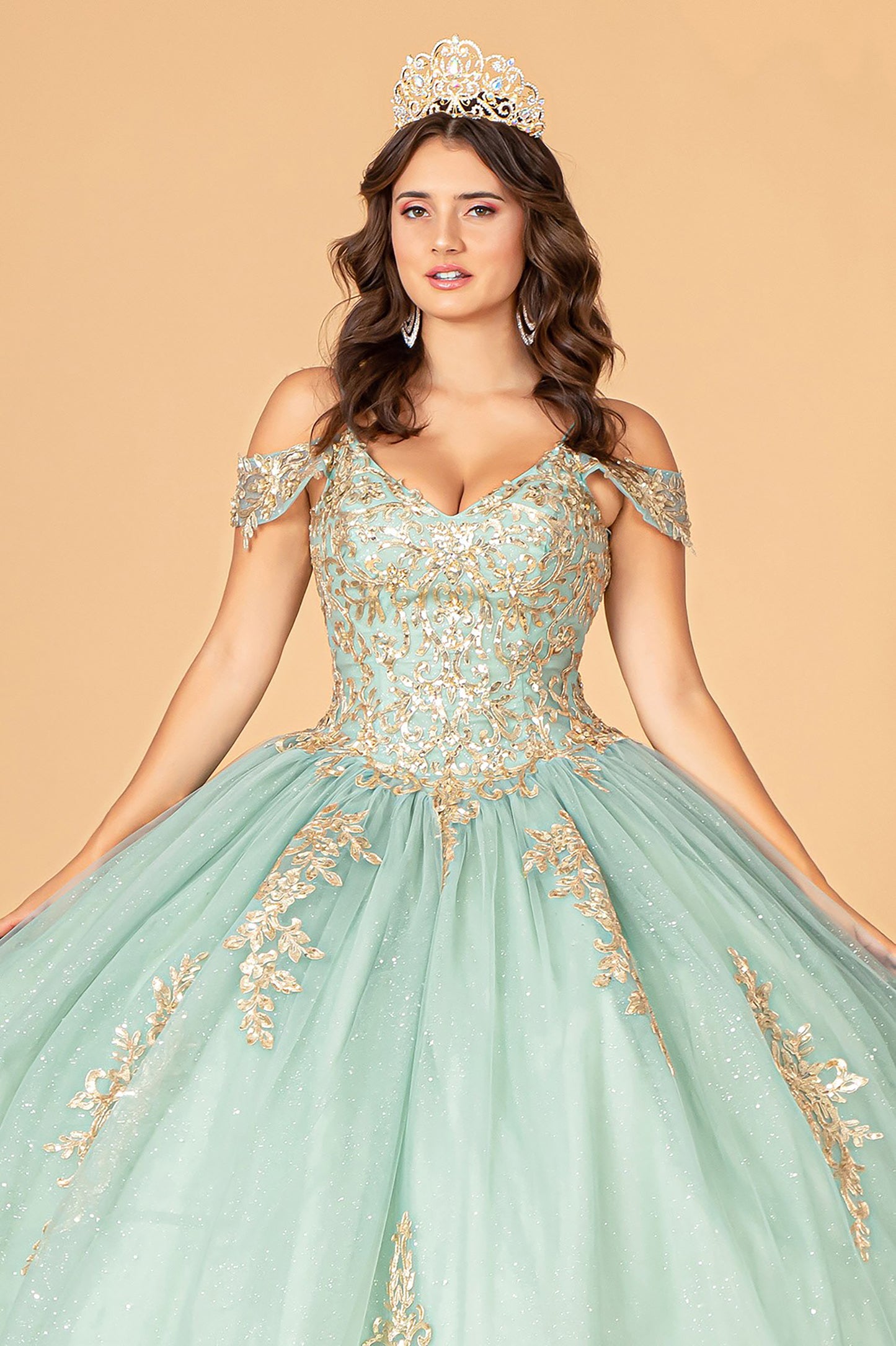 Quinceañera | Sage Gold Embroidered Mesh Sweet 15 Ball Gown | Reyna dress front zoom