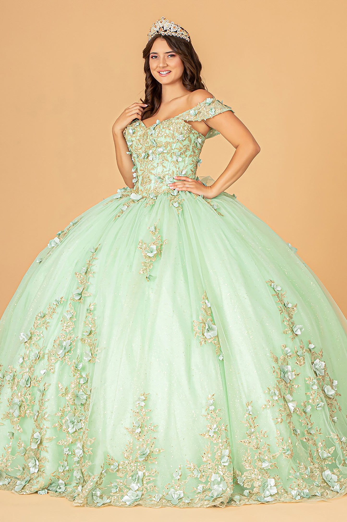 Quinceañera | Sage 3D Flower Appliqué Sweetheart Neckline Mesh Sweet 15 Ball Gown | Raquel dress side view