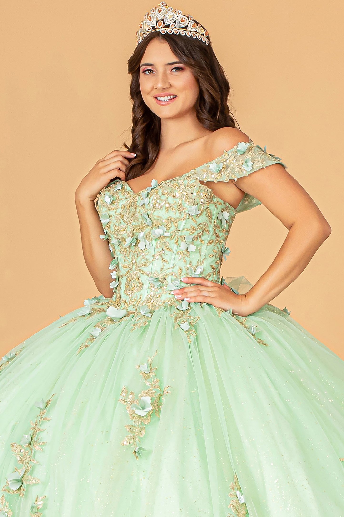 Quinceañera | Sage 3D Flower Appliqué Sweetheart Neckline Mesh Sweet 15 Ball Gown | Raquel dress front zoom