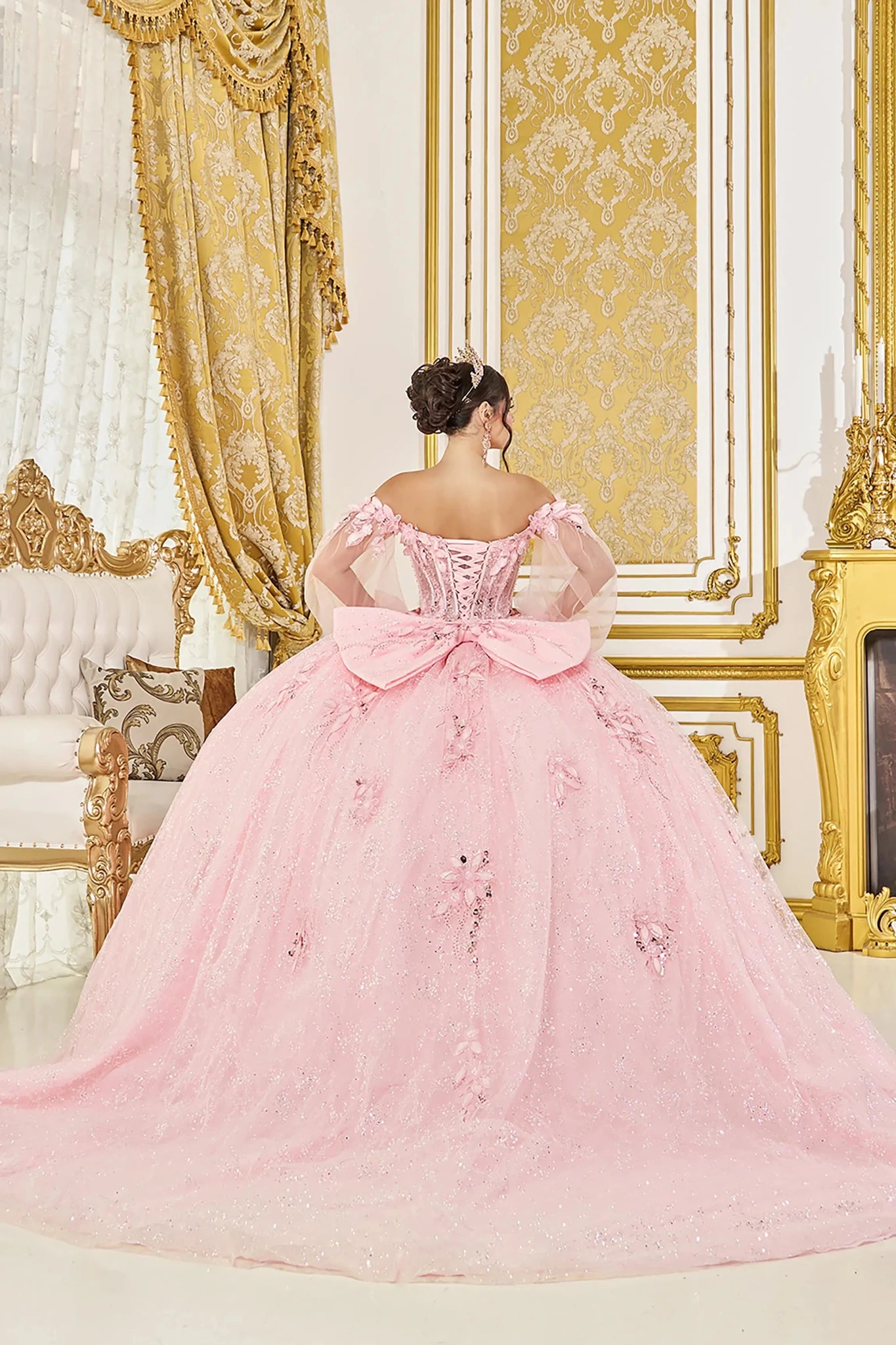 Back Full-length view of Whimsical Blush 3D Floral Corset Quinceañera Ball Gown