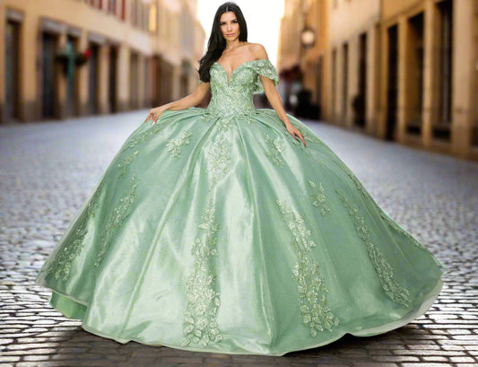 Sage Quinceanera | 3D Floral Sequin Applique Glitter Lace Train Quinceneara ball gown - front view of woman wearing dress with hands at sides