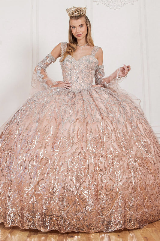 Peach Blush Crystal beaded Ombre Patterned Sequin Gown with Bell Sleeves, Beautiful Big Bow front view