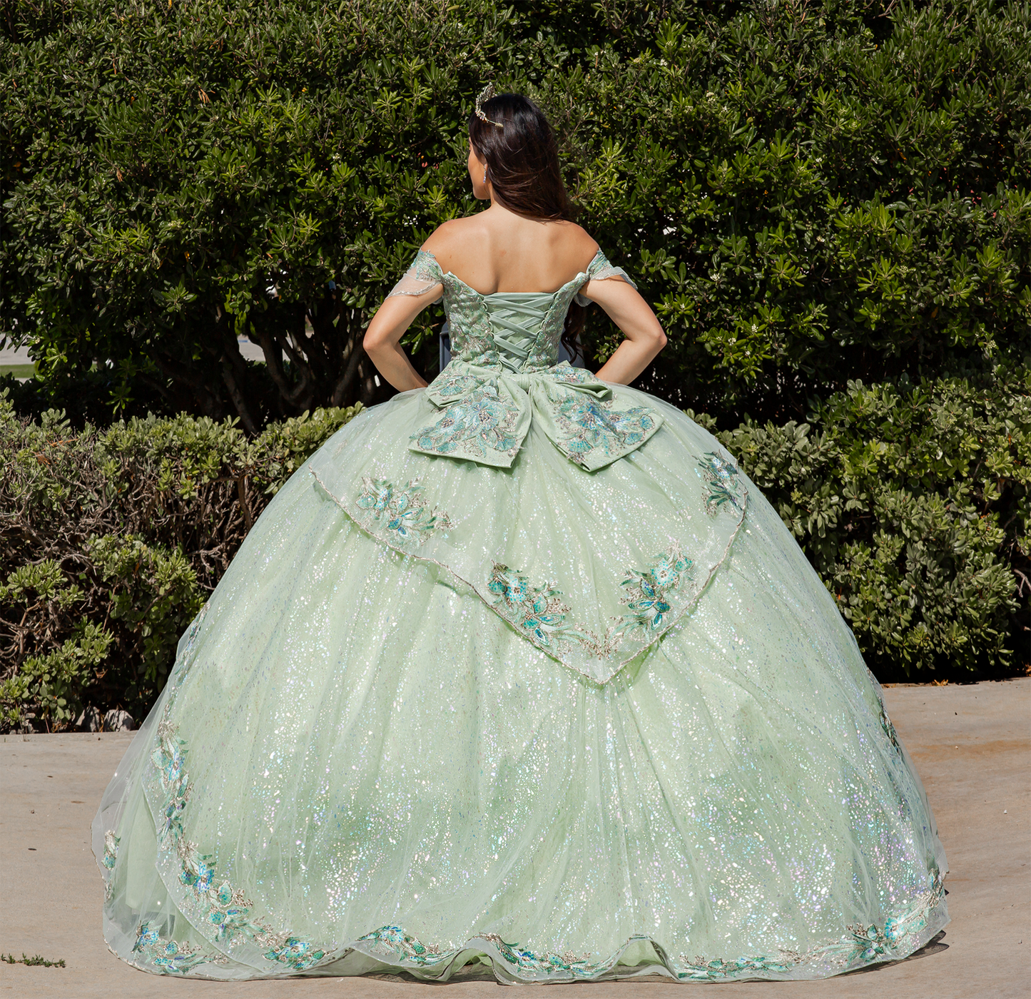 Woman in a light green ball gown with floral details standing outdoors.