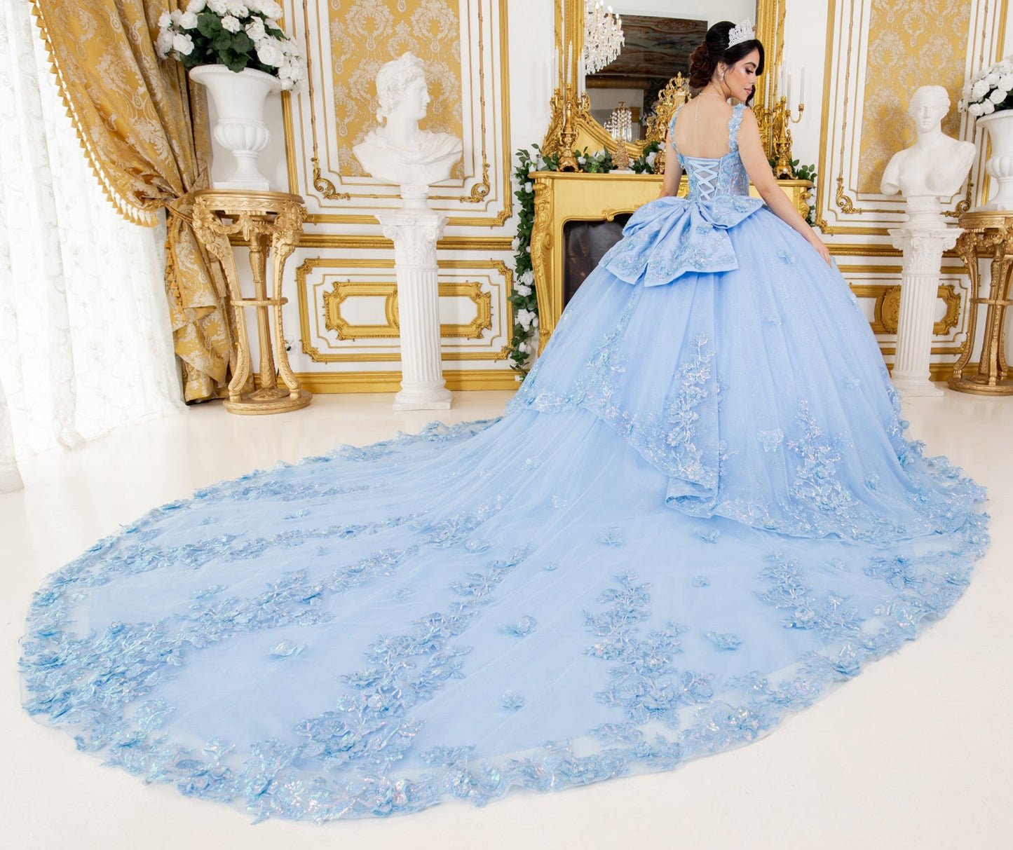 Quinceanera | Blue Metallic Floral Sweet 15 Ballgown | Zamora dress | 2 Colors Available back view