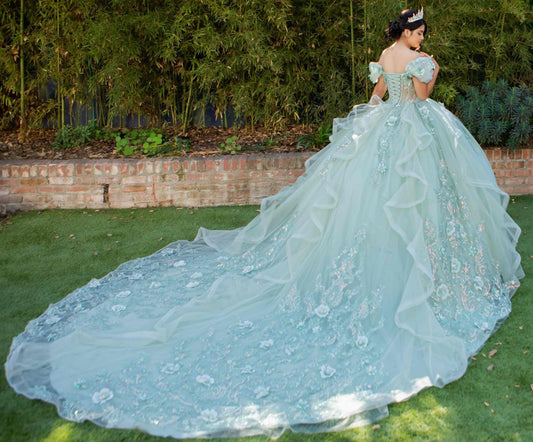 Quinceanera | Sage Extra Long Train Sweet 15 Ball Gown with Embroidered Floral Appliqués | Yolanda dress | 2 Colors Available side with long train