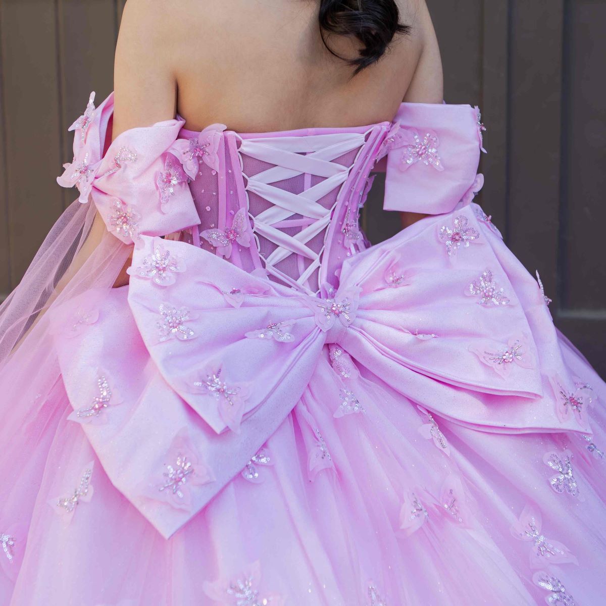 Back detail shows zoomed a blush quinceanera ball gown with butterfly appliques, puffed sleeves, and lace-up train.