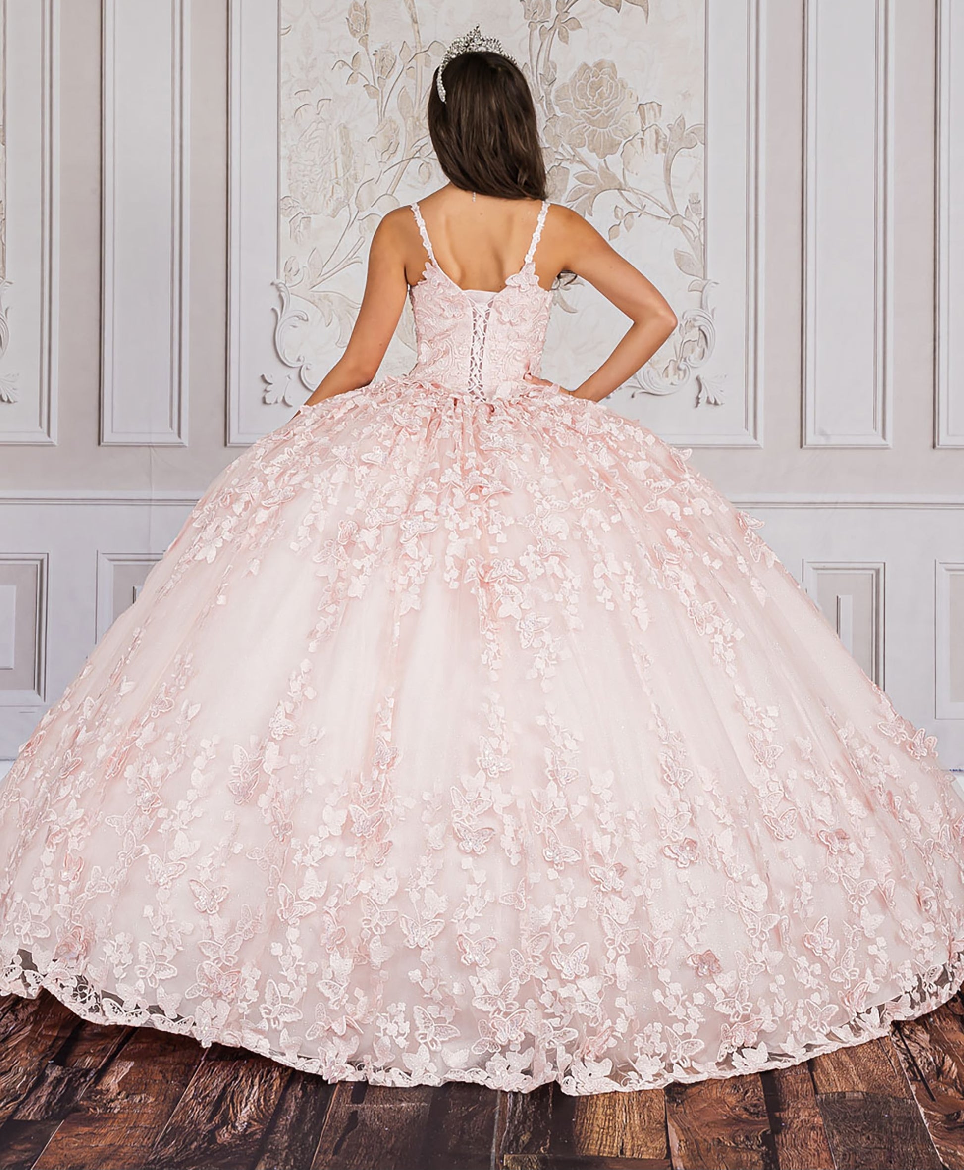 Quinceanera | Blush 3D Butterfly Glitter Quince dress with Stunning Cape | Aida dress | 2 Colors Available back without cape