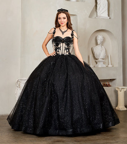 Quinceanera | Black Sheer Bodice and 3D Floral Embroidery | Tia dress | 3 Colors Available