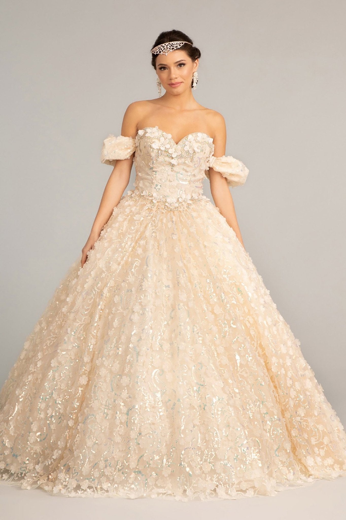 Champagne Quinceañera Dress with 3D Applique Mesh Detailing 3XL / Champagne