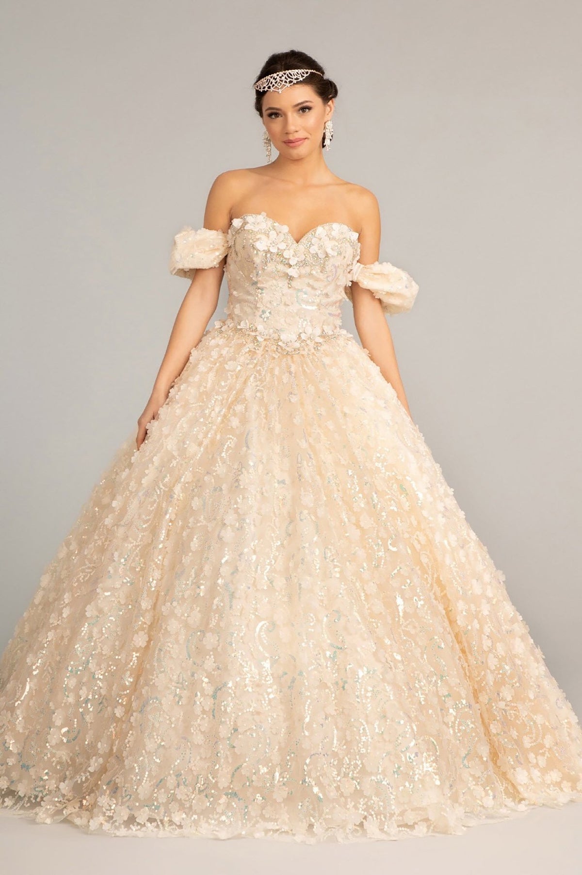 Full-length view highlights champagne quinceañera dress with 3D appliques, jewel embellishments and mesh ball gown skirt.
