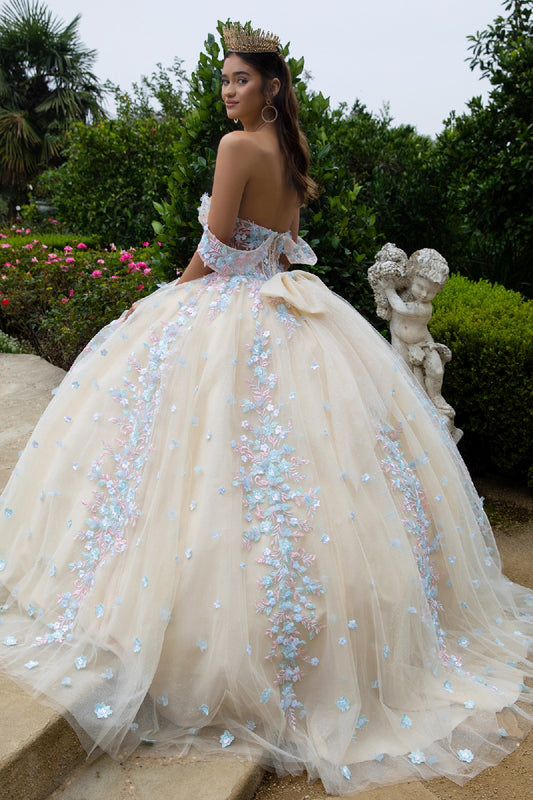 Quinceañera | Champagne3D Floral Appliqué Embellished Sweetheart Sheer Bodice Sweet 15 Ball Gown | Plus Size Available | Nadalia dress back