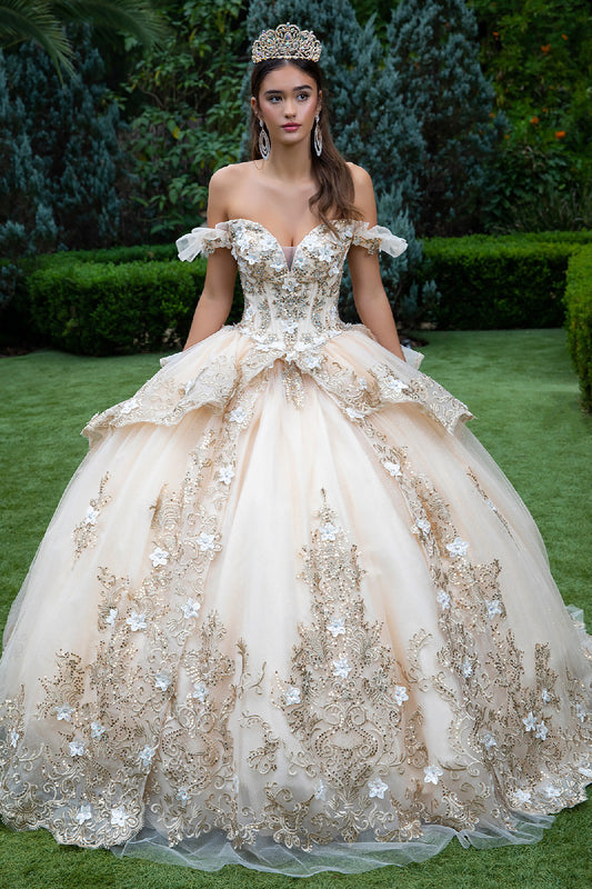 Quinceañera | Champagne Metallic Embroidery, 3D Flower Appliques Ball Gown with Ruffled Train | Dalary dress front