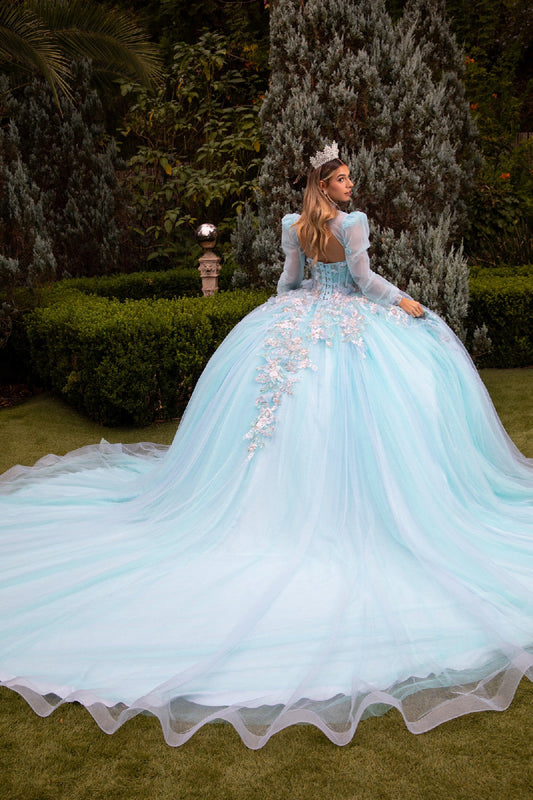 Quinceañera | Ice Blue Ball Gown with Glitter Mesh and 3D Floral Appliques | Crescencia dress back view