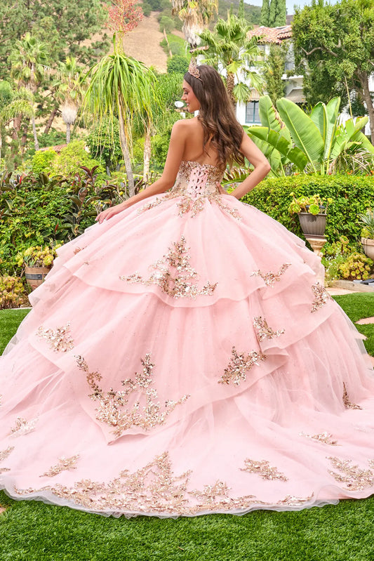 Back view of blush pink quinceañera ball gown showing lace-up corset back, tiered tulle skirt, and gold embroidered details