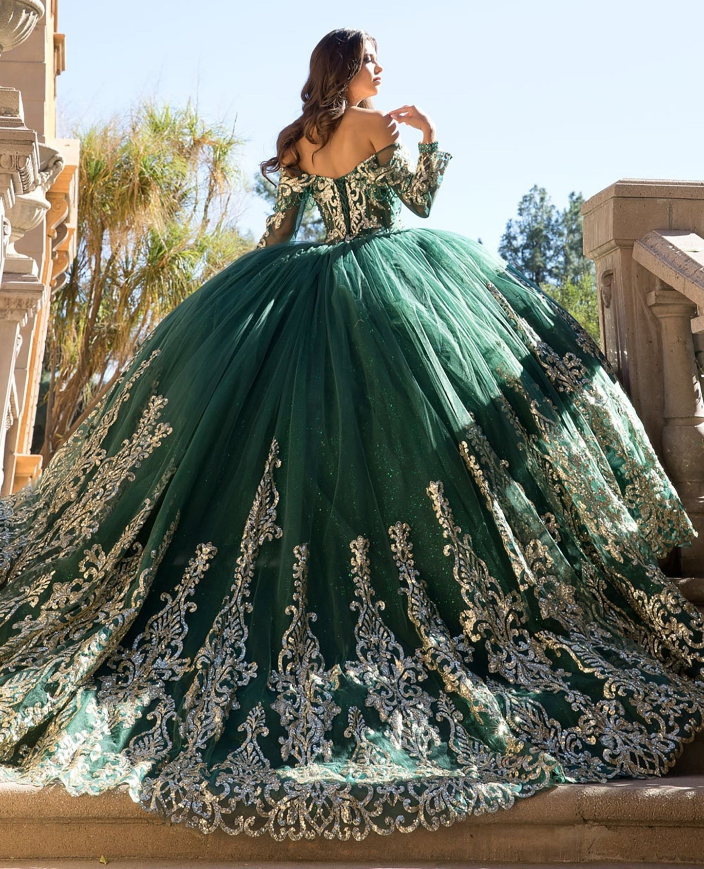 back of a Hunter Green Embroidered Bodice Gems, Rhinestones Sweetheart Neckline with Detachable Long Sleeves Ballgown