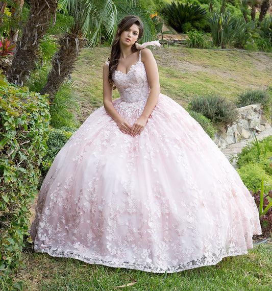 Quinceanera | Blush 3D Butterfly Glitter Quince dress with Stunning Cape | Aida dress | 2 Colors Available front