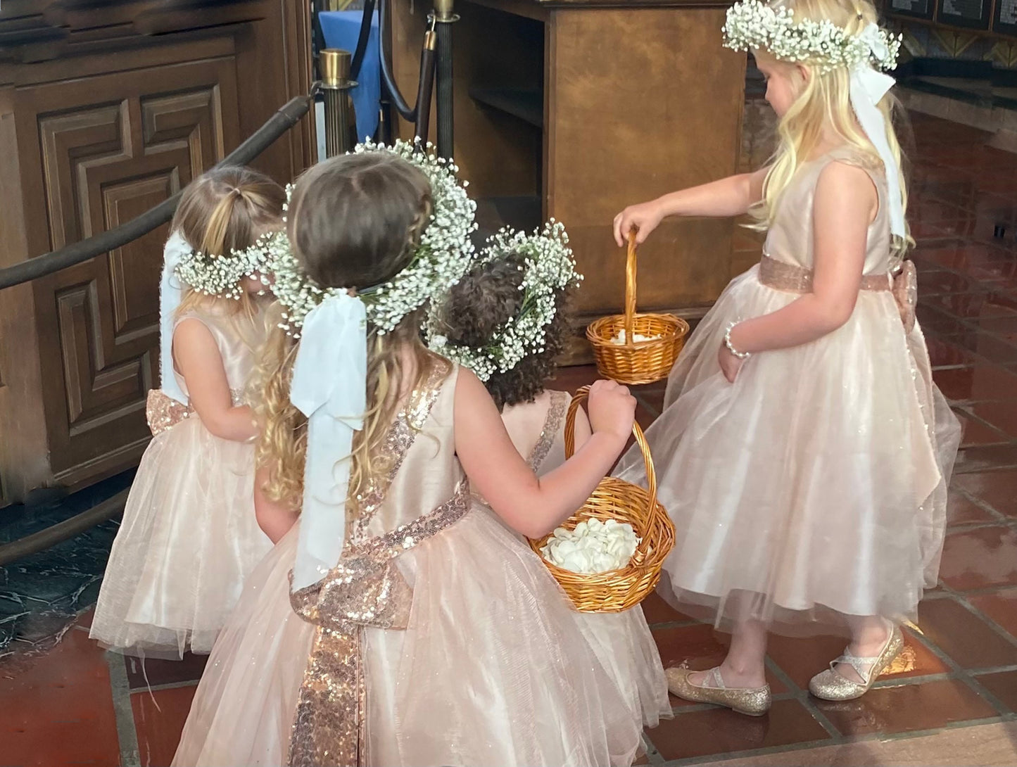Children in blush dresses with flower crowns standing in a line.