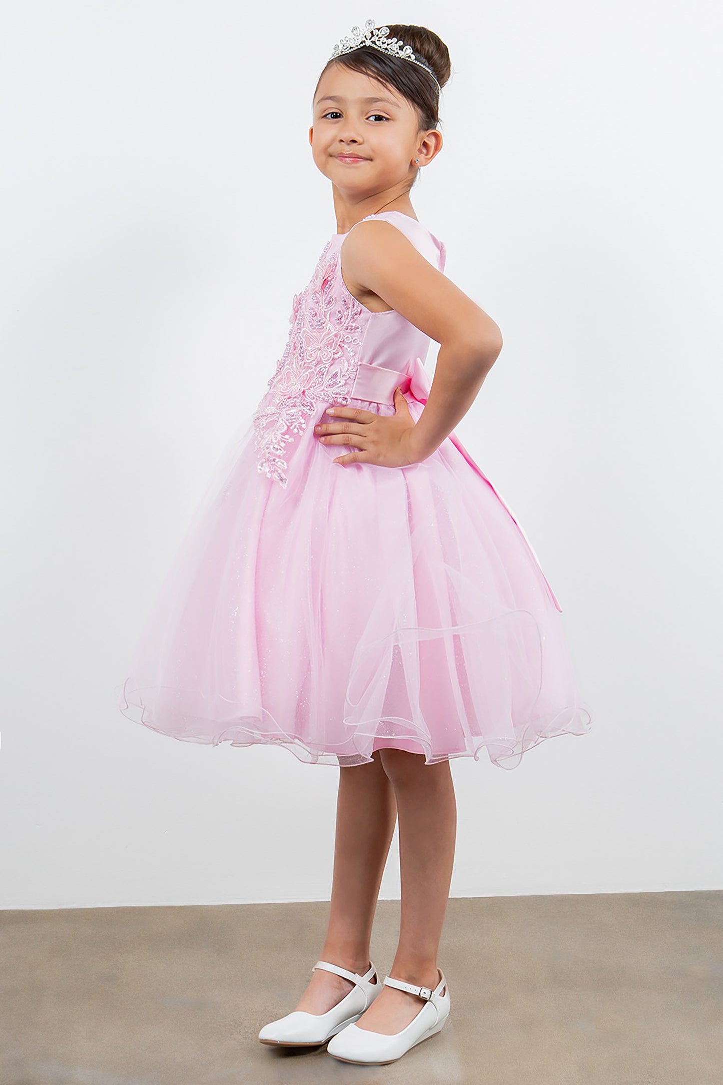 Young girl wearing a pink dress with a tiara against a white background