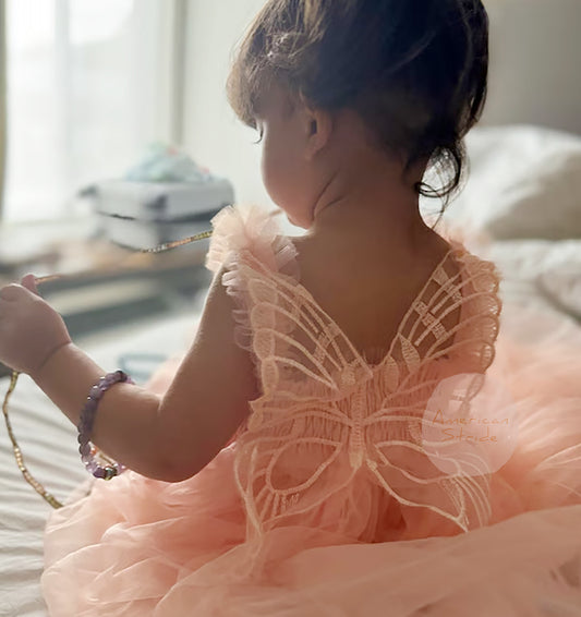 Baby Blush Butterfly Wings Lace Tulle Dress | Baby Special Occasion Dress I Flower Girl Dress kid wearing