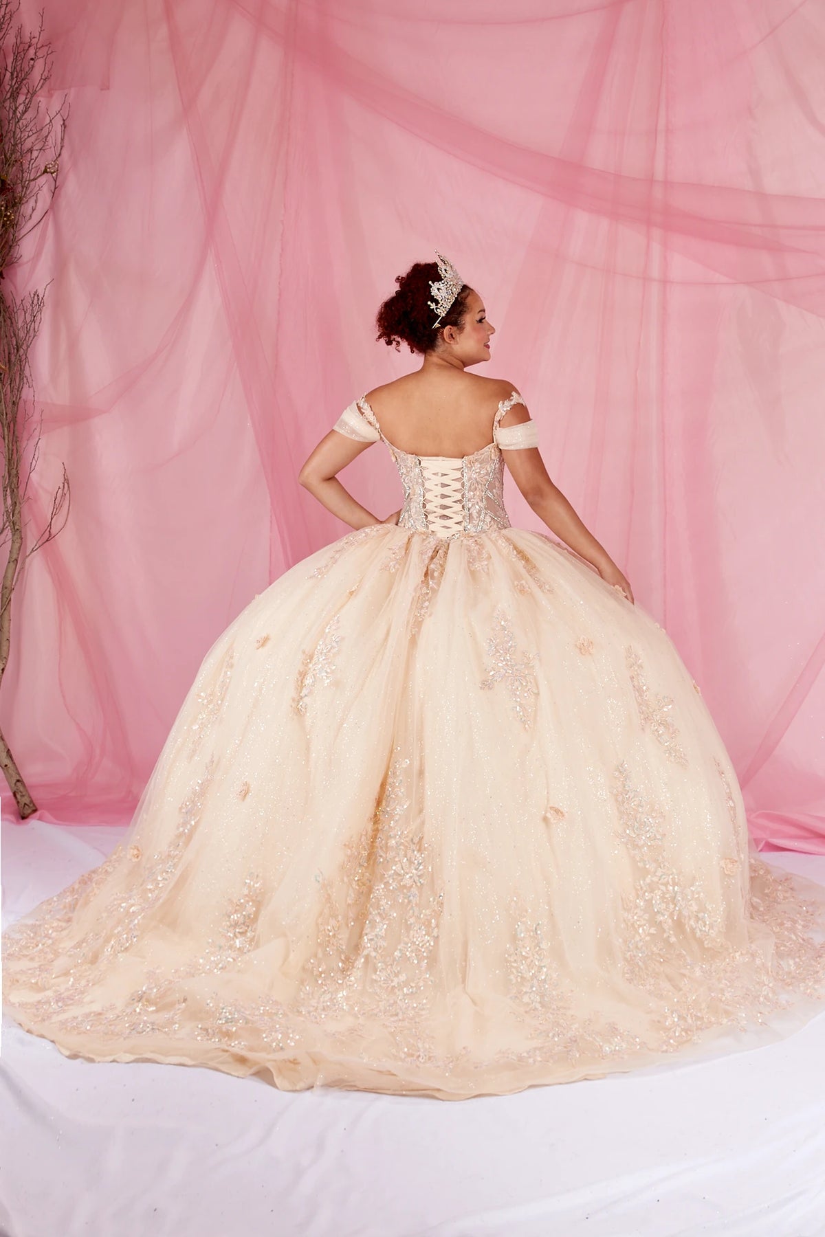 Champagne quinceañera ball gown with illusion corset bodice, 3D floral applique and beaded embroidery
