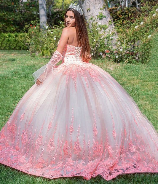 Orange Champagne Jewel Sequin Sweetheart Mesh Quince Ball Gown w/ Long Sheer Sleeves back