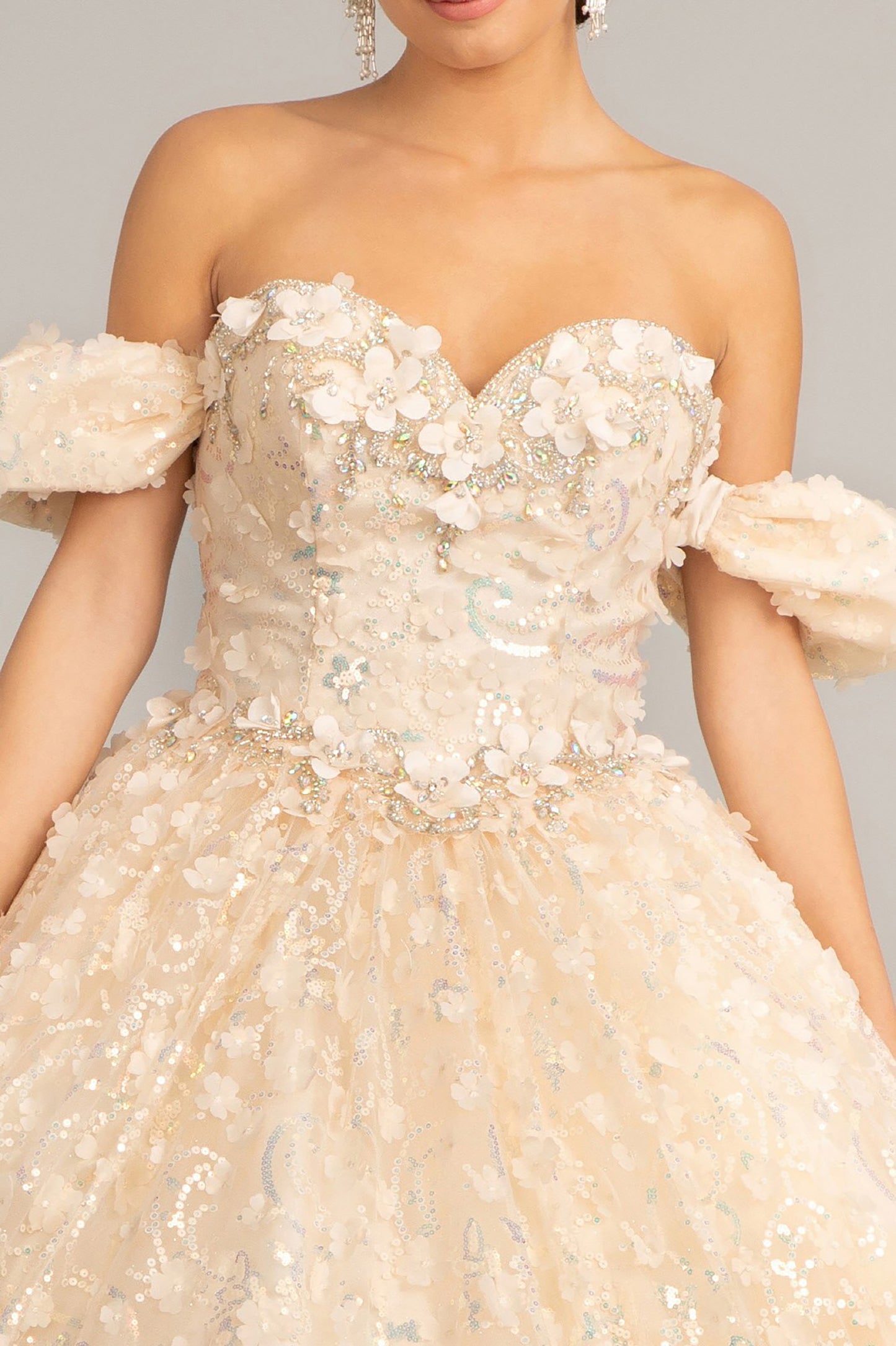 Quinceañera | Champagne 3D Appliqué Jewel Embellished Mesh Ball Gown | Rita dress top zoom