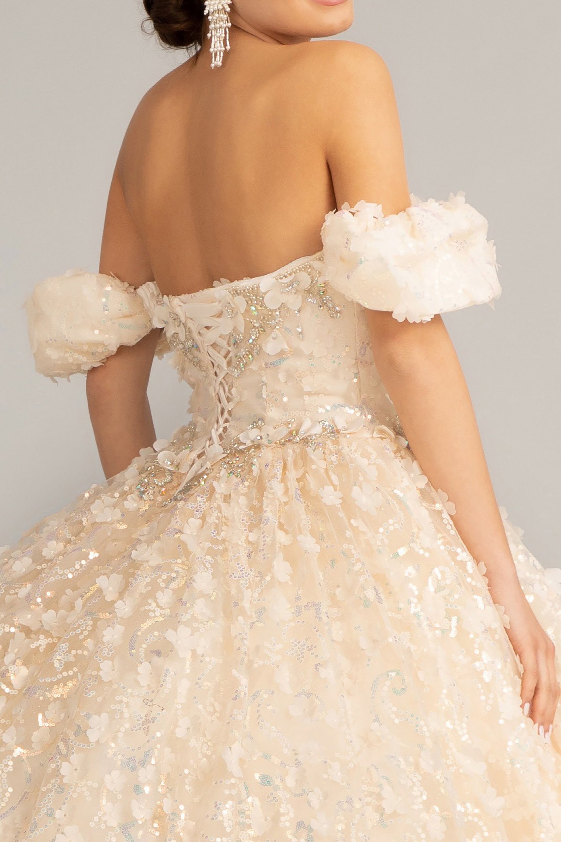 Quinceañera | Champagne 3D Appliqué Jewel Embellished Mesh Ball Gown | Rita dress back view