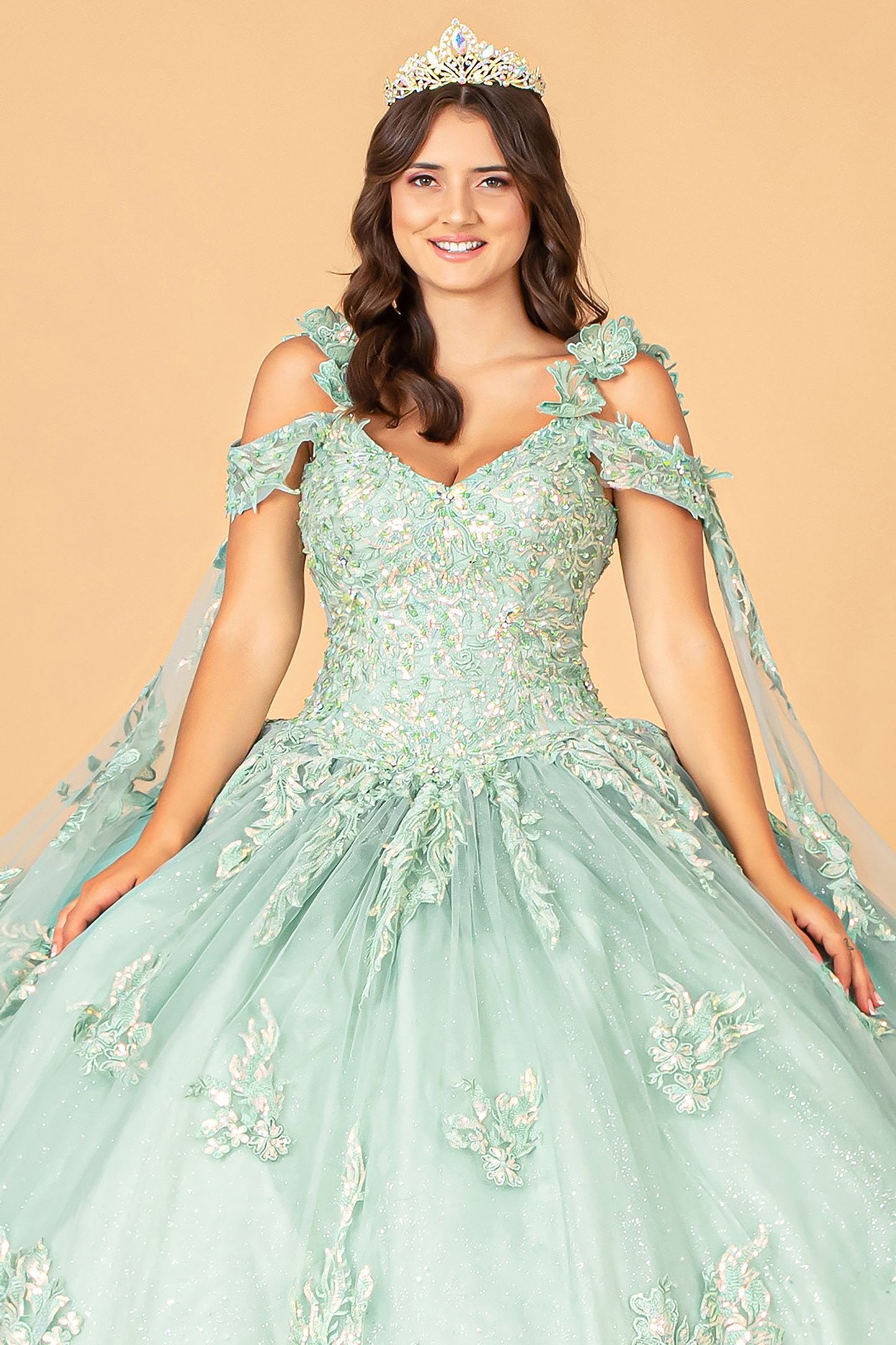 Quinceañera | Sage 3D Flower Appliqué Mesh Sweet 15 Ball Gown with Side Mesh Drapes | Rio dress front zoom