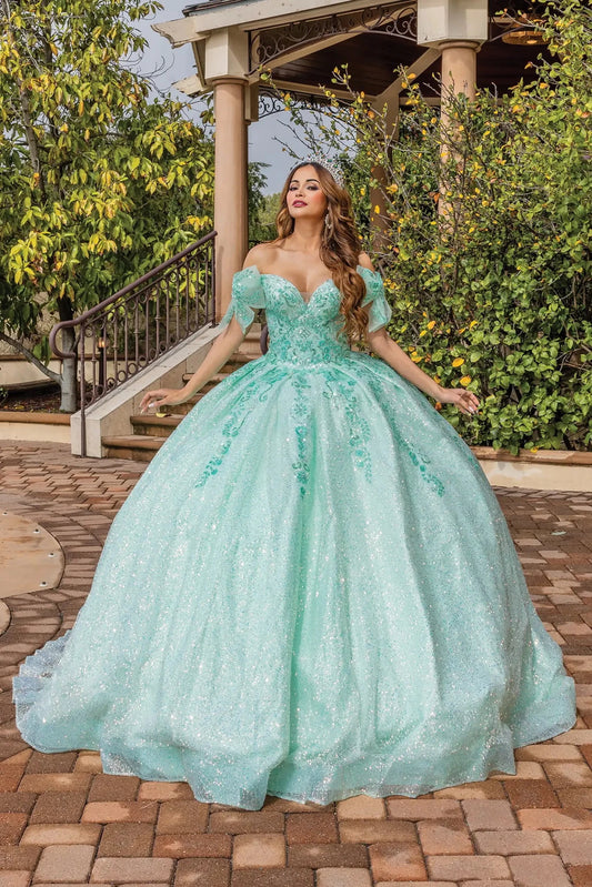 Front view of a Mint quinceañera gown with cap sleeves and embroidered bodice