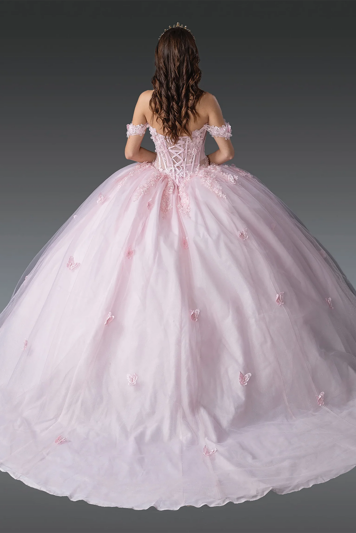 Blush floral appliqué quinceanera dress, back view with lace-up closure
