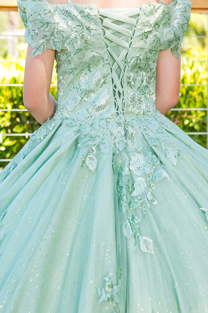 Sage Mini Quince | Beautiful Sweetheart 3D Floral Sequin Applique Glitter Lace Train Mini Quince Ballgown - zoomed in view of back of dress