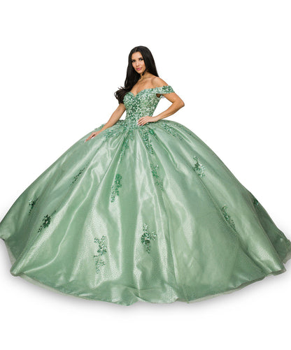 Quinceanera | Sage Off-Shoulder Sweetheart Embossed Tulle Satin Train Gown with Two-Tone Sequin Flower Appliqué | Gabriela dress | 2 Colors Available front