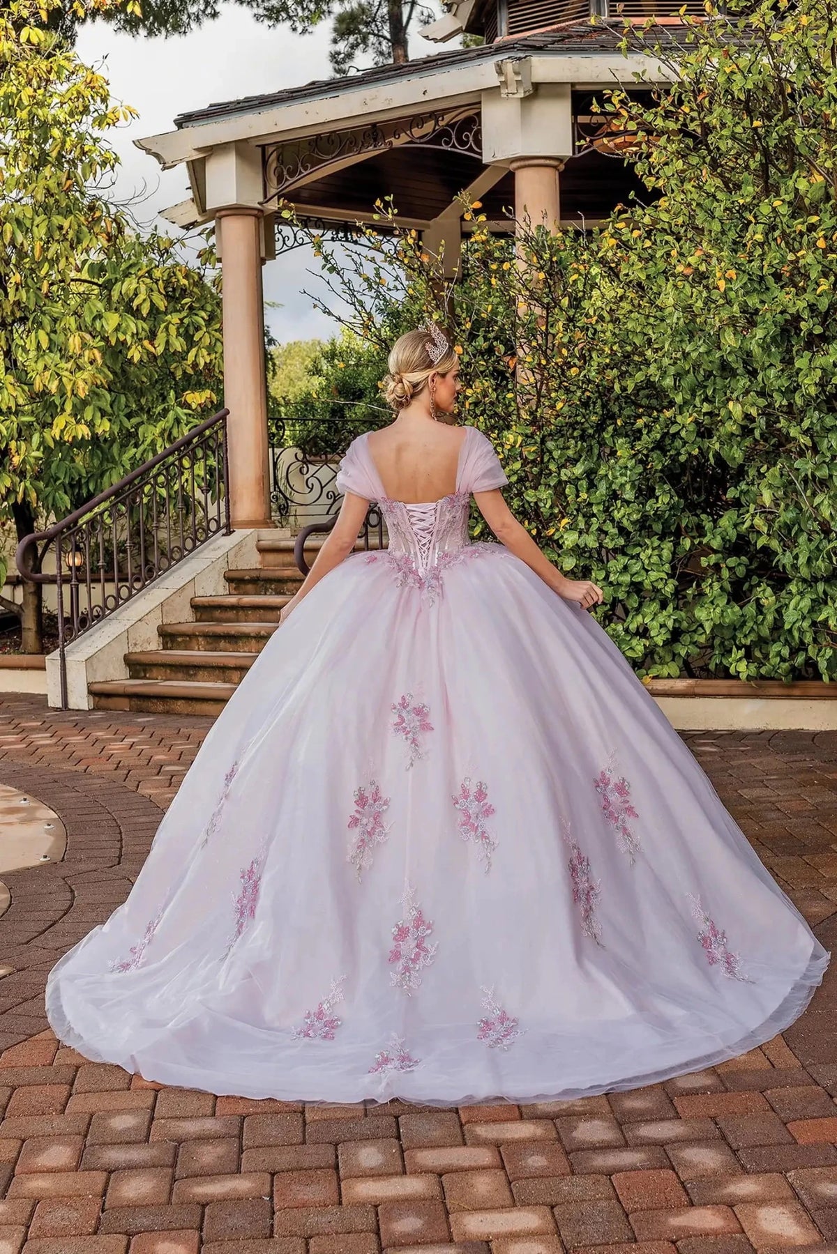 Back view of a Blush quinceañera gown showing lace-up back, cap sleeves, and embroidered tulle skirt