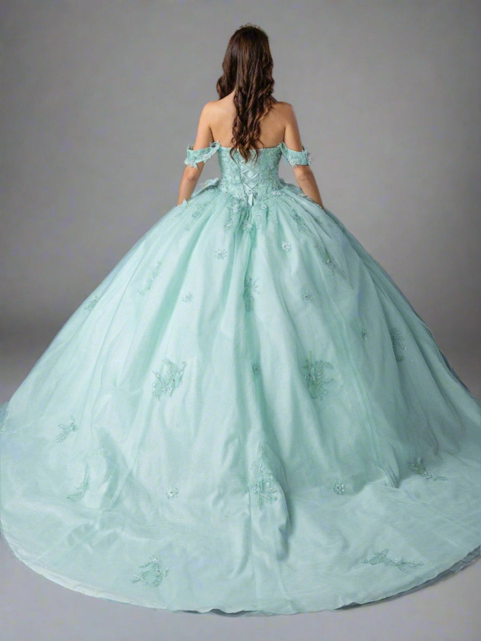Quinceañera | Light Mint Sweetheart Ball Gown with Floral Appliqués | Anissa dress back view