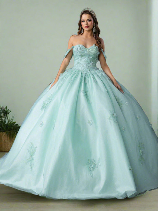 Quinceañera | Light Mint Sweetheart Ball Gown with Floral Appliqués | Anissa dress