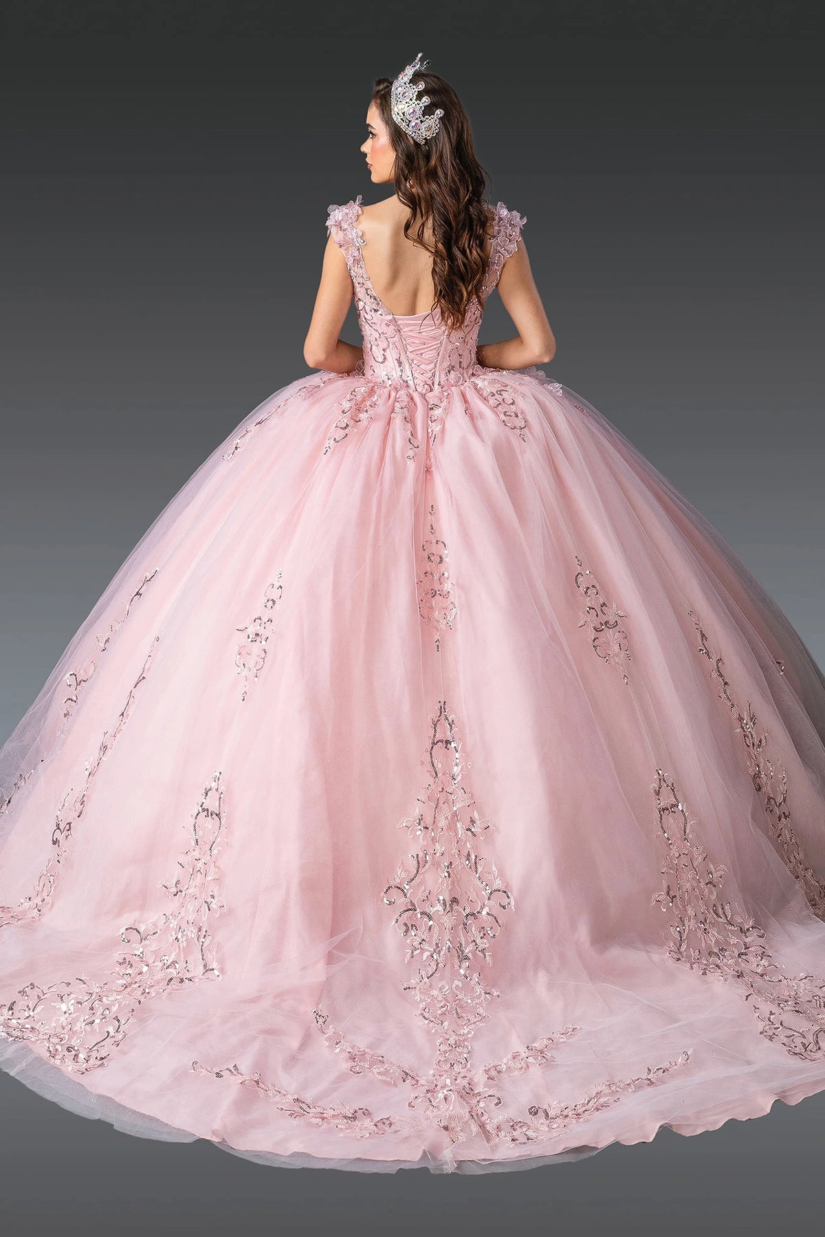 Back view of a Blush quinceañera gown showing lace-up back, voluminous full skirt, and embroidered lace