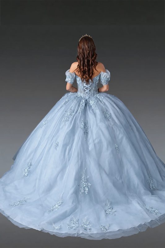 Gray floral applique quinceanera dress with lace-up back and long train, full back view