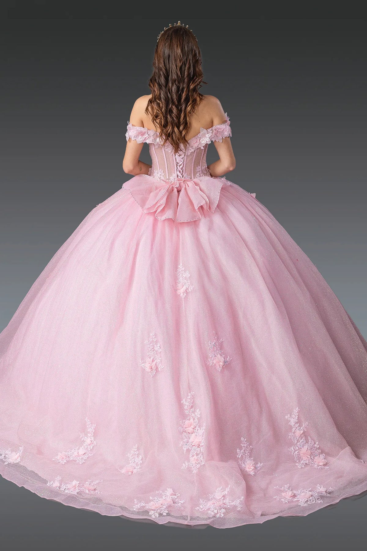 Back view of a Blush quinceañera gown showing lace-up back, glitter tulle skirt, and floral appliqués