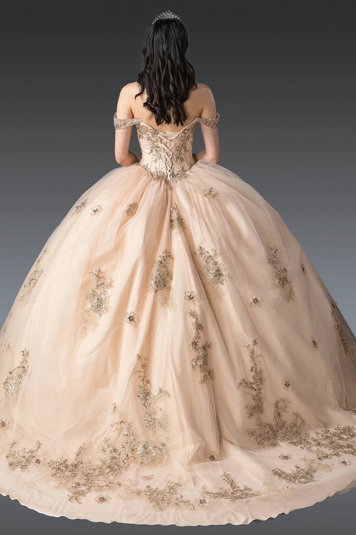 Back view of a Champagne quinceañera gown showing lace-up back, full tulle skirt, and floral appliqués