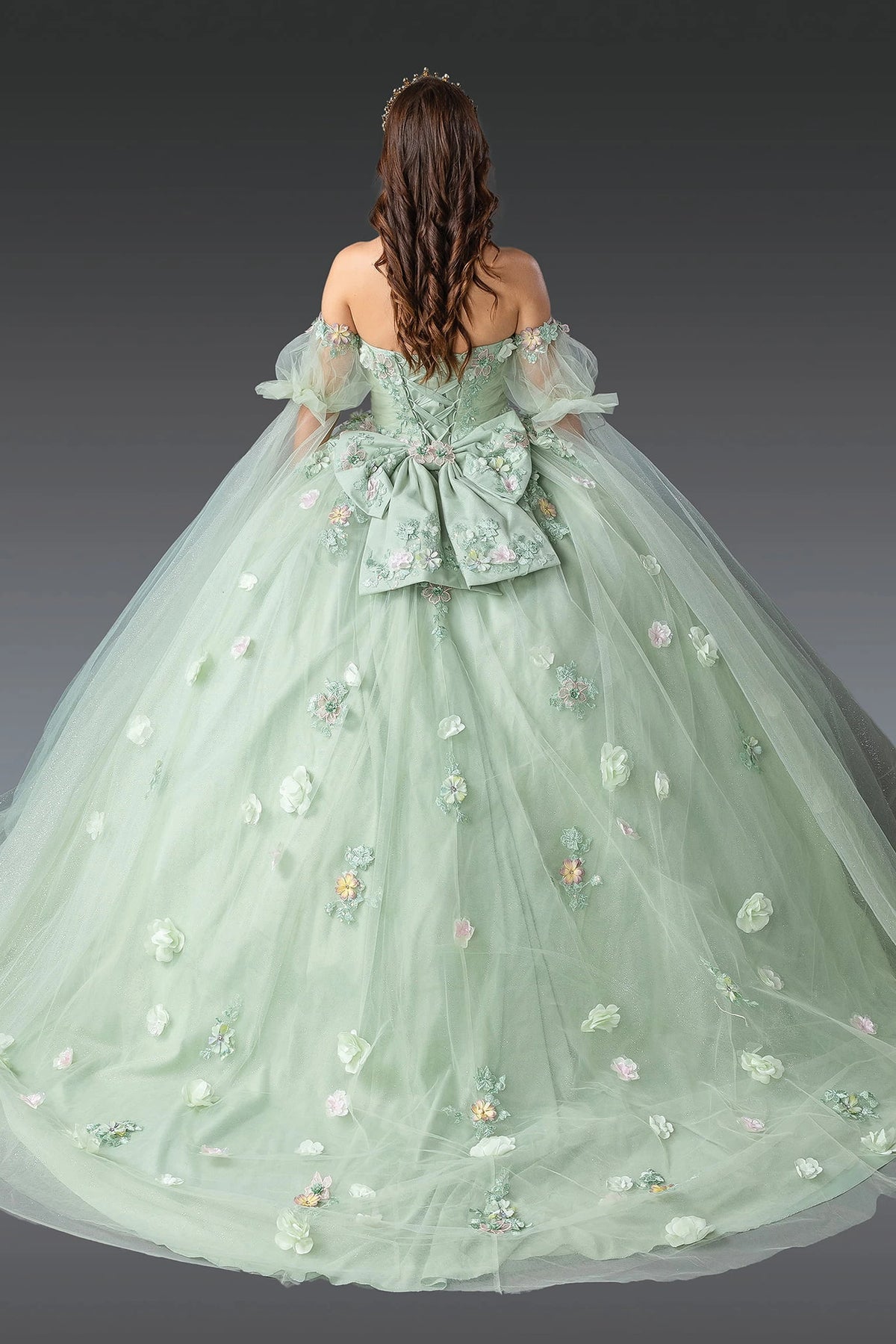 Back view of a Sage quinceañera gown showing lace-up back and puff sleeves