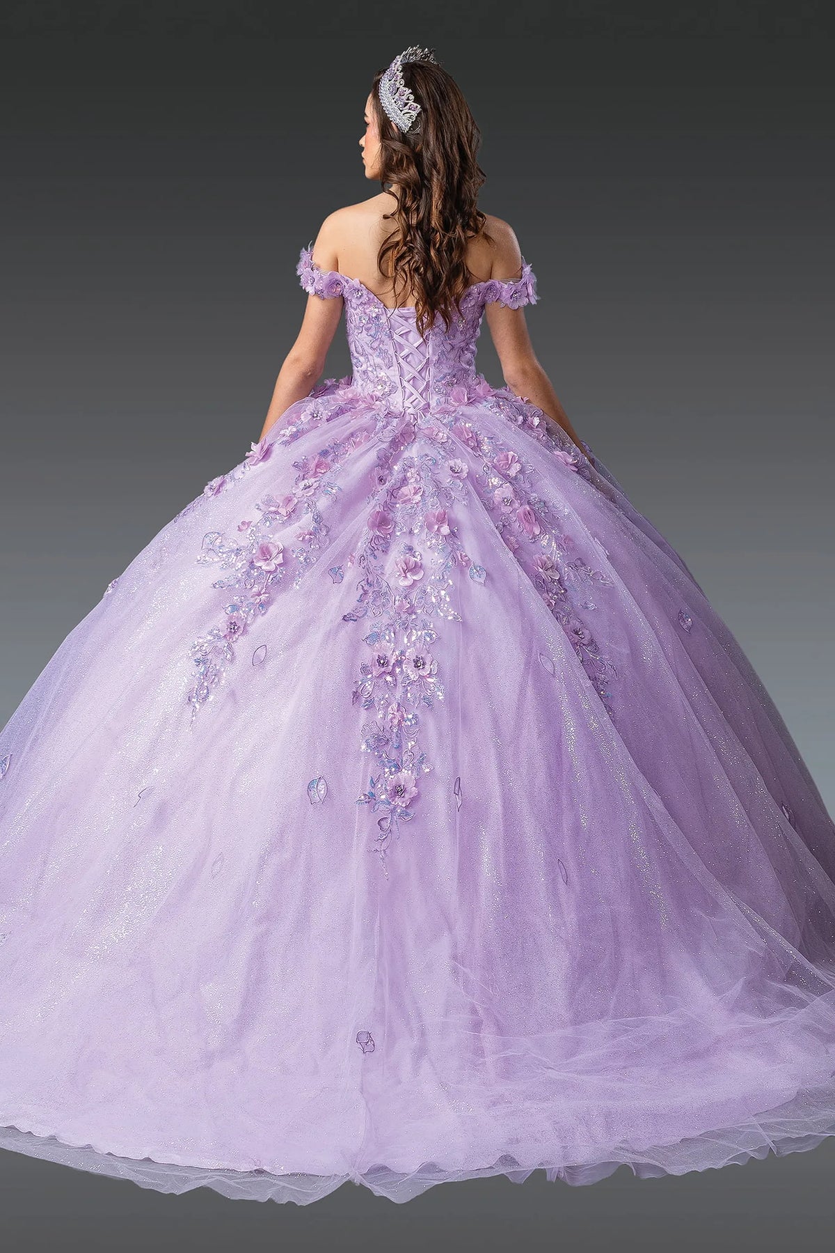 Back view of a Lilac quinceañera gown showing lace-up back and sheer sleeves