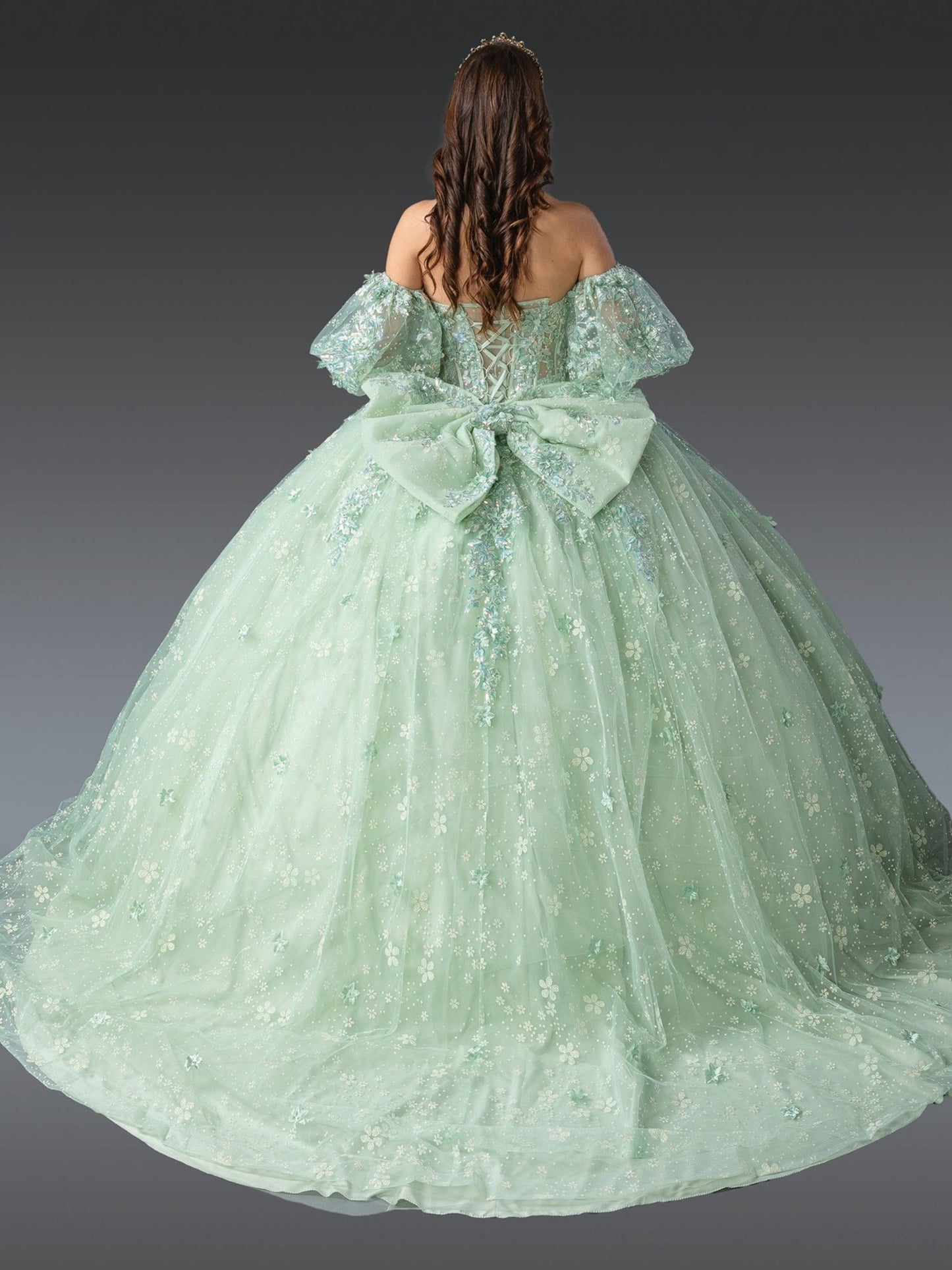 Quinceañera | Sage Strapless Quince Gown with Floral Appliqué Skirt | Areli dress back view