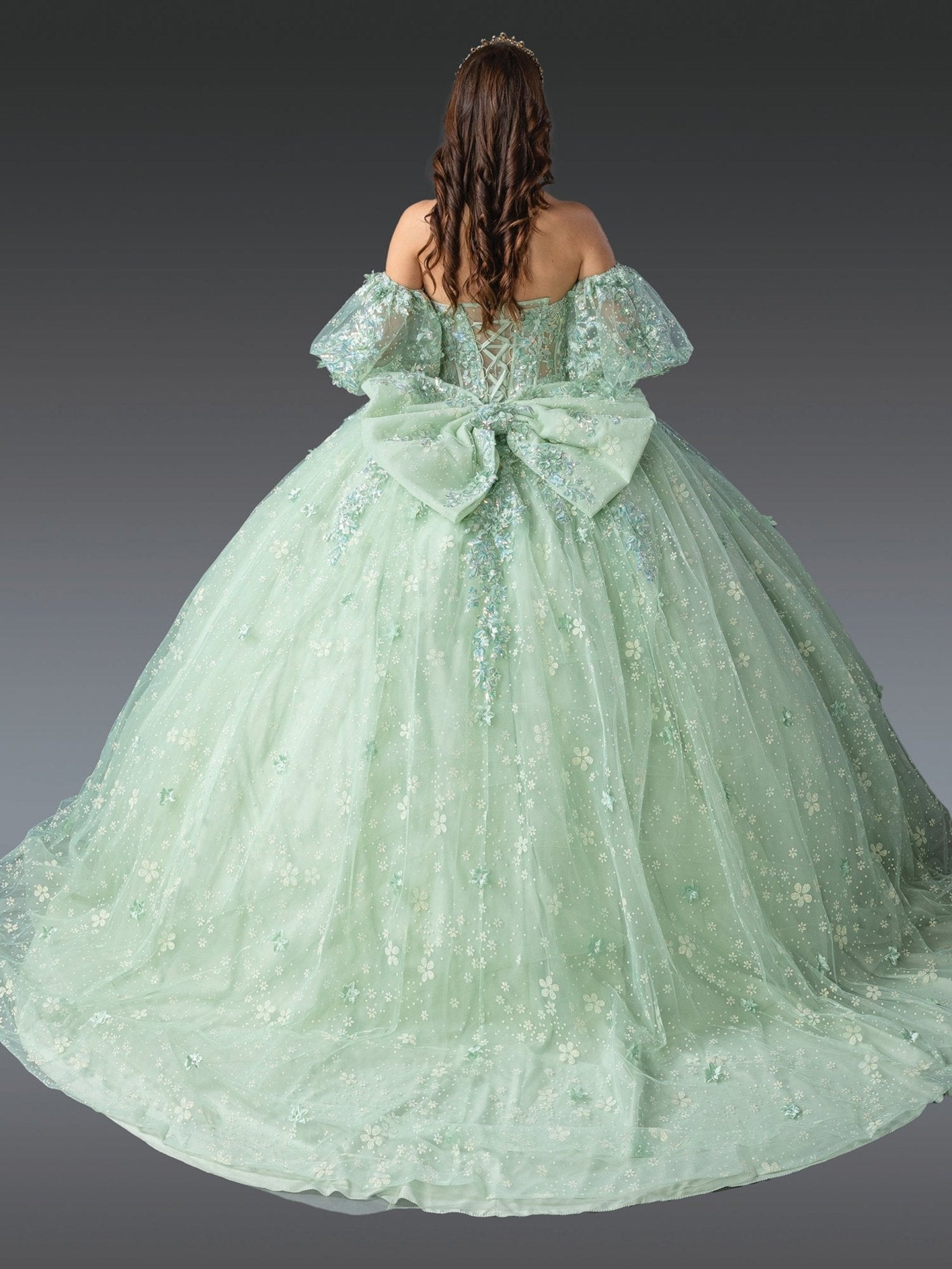 Quinceañera | Sage Strapless Quince Gown with Floral Appliqué Skirt | Areli dress back view